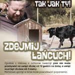 ZWIERZ-akcja-lato-plakat-2-A3-podglad.jpg