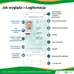 Infografika (2).png